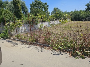 vand teren intravilan in orasul Giurgiu - imagine 3