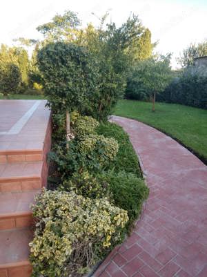 Echipa montam pavaj si borduri - imagine 4