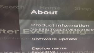 40-L242H4-PWA1CG ; 40-Rt51m1-mab2hg - imagine 5