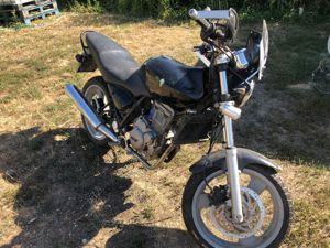 MZ Muz RT125R - imagine 2