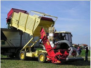 UTILAJE recoltare plante tehnice si aromatice - imagine 3