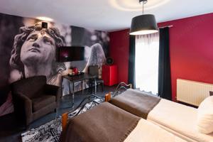 De vanzare Boutique Hotel Rocker's Inn, locatie functionala, zona Cheile Nerei - imagine 13