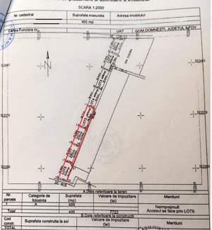 Domnesti - Ciutaci, vanzare 4 loturi de teren intravilan - imagine 5