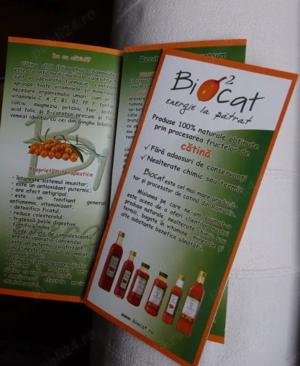 Tipar offset & digital: Pliante, Fluturasi, Formulare, Carti de vizita - imagine 5