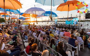 Organizam evenimente, festivaluri - imagine 6