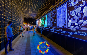 Organizam evenimente, festivaluri - imagine 9