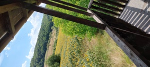 casă cu etaj de vanzare . - imagine 7