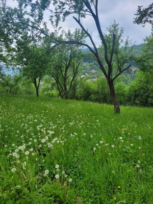 Teren de vanzare în Comuna Valea Doftanei, Sat Teşila   - imagine 5