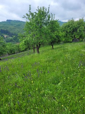 Teren de vanzare în Comuna Valea Doftanei, Sat Teşila   - imagine 2