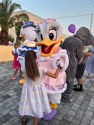 Costume Cosplay Mascote de Donald si Daisy sau Tom si Jerry Evenimente, petreceri, carnaval, nou - imagine 3