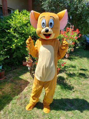 Costume Cosplay Mascote de Donald si Daisy sau Tom si Jerry Evenimente, petreceri, carnaval, nou - imagine 9