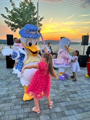 Costume Cosplay Mascote de Donald si Daisy sau Tom si Jerry Evenimente, petreceri, carnaval, nou - imagine 2