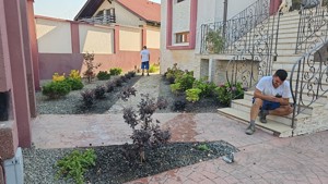 Amenajare spatii verzi , gazon , plante , proiectare - imagine 4