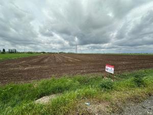 Teren extravilan agricol pe soseaua de centura zona CET - pasaj - imagine 5