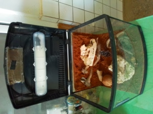 Terariu pentru tarantula, geco etc - imagine 2