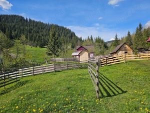 Teren intravilan de vanzare in Bucovina Com Breaza Zona Paraul Brezii - imagine 5