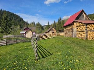 Teren intravilan de vanzare in Bucovina Com Breaza Zona Paraul Brezii - imagine 6