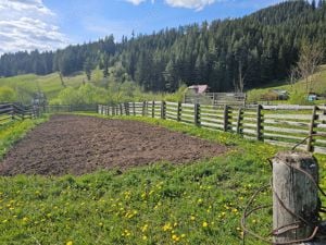 Teren intravilan de vanzare in Bucovina Com Breaza Zona Paraul Brezii - imagine 3