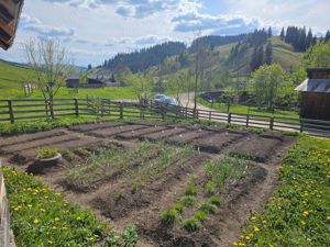 Teren intravilan de vanzare in Bucovina Com Breaza Zona Paraul Brezii - imagine 9