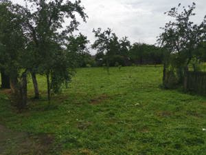 Vanzare teren si casa batraneasca