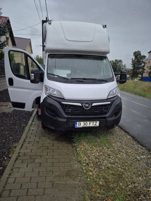 Sofer cat b - imagine 3