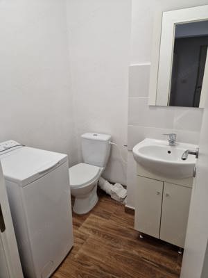 3 cam decomandat 2 bai CENTRALA PROPRIE parter zona Bucovina Torontalului - imagine 9