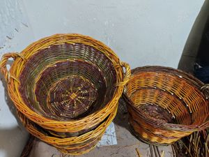 Nuiele și cosuri rachita - imagine 7