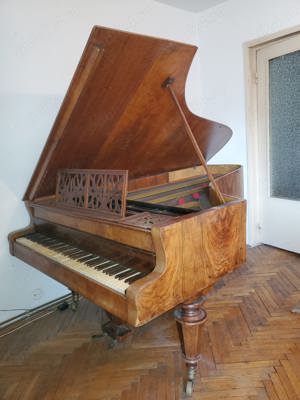 Pian Ph.Wolf pentru folosinta sau decor - imagine 2