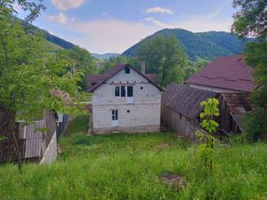 Casa și teren de vanzare Nepos, str. Libertății nr.49 - imagine 6