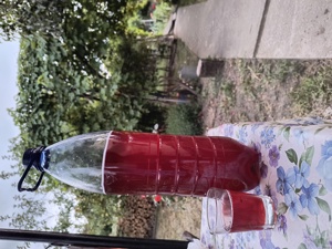 vand vin rosu din struguri capsunica cu 1001