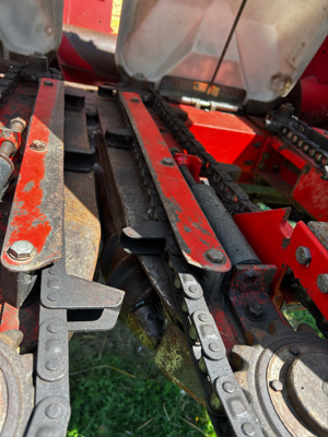 Heder Porumb Oros 6239 SA - imagine 6