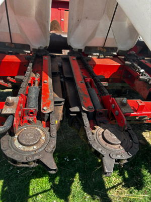 Heder Porumb Oros 6239 SA - imagine 7