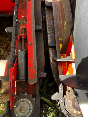 Heder Porumb Oros 6239 SA - imagine 10