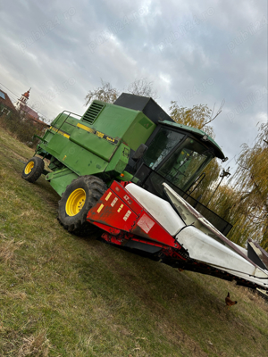 Heder Porumb Oros 6239 SA - imagine 4