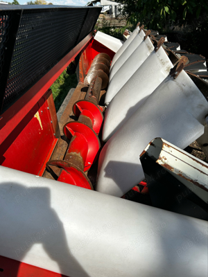 Heder Porumb Oros 6239 SA - imagine 5