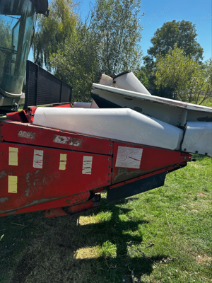 Heder Porumb Oros 6239 SA - imagine 9