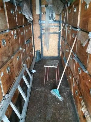 Camion Mercedes-Benz Atego  - imagine 8