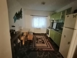 Vila Bucium  - imagine 2