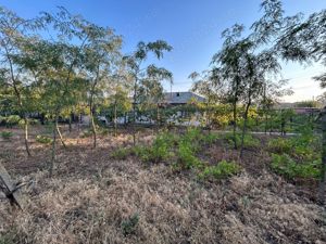 Vand casa intr-o zona neinundabila , in Cudalbi , judetul Galati - imagine 5