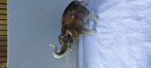 Bibelouri portelan cehoslovacia - imagine 9