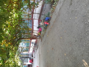 Vînd casă în Novaci Giurgiu