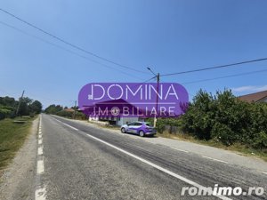 Vânzare proprietate situată în comuna Ciuperceni, sat Ciuperceni - la DN 67 - imagine 10