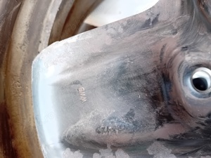 Anvelope 205/55 R16 Maxtrek Maximus M1 - imagine 4