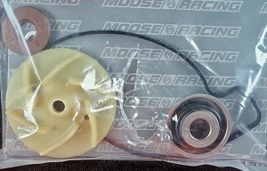 Kit presetupa pompa apa Renegade G1 si G2 + paleta rotor 420222505