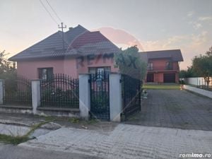 Casă P+1 si casa cu 3 camere de vanzare in Lapusel!