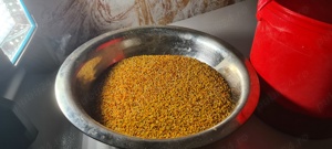 Polen crud poliflor din recolta 2025  - imagine 3