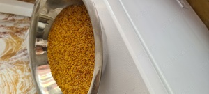 Polen crud poliflor din recolta 2025  - imagine 2