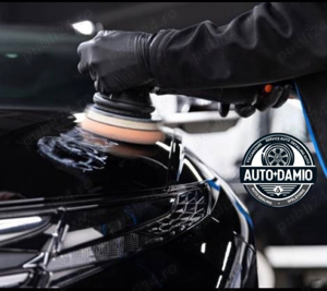 Polish Auto Profesional 