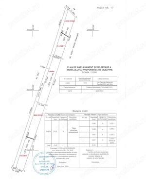 Vand teren in Dascalu in suprafata 778 mp - imagine 6