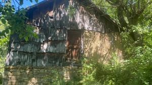 Vând livada cu coliba